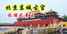 白虎操逼视屏中国北京-东城古宫旅游风景区